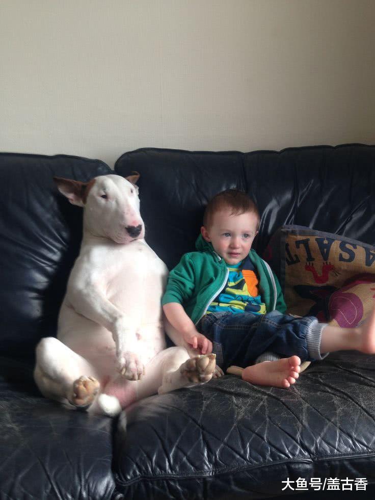 小主人想要跟姐姐一起玩，狗狗默默地躺在地上，场面十分温馨！