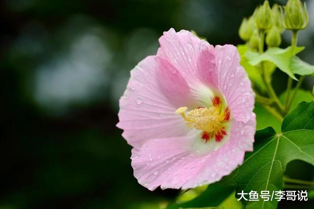 钱挣再多，又有啥用呢？太现实了！