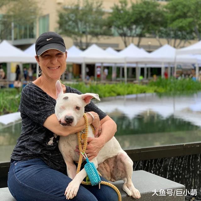 被霰弹枪射击，被用锤子殴打，被虐待的独眼狗狗依旧选择相信人类