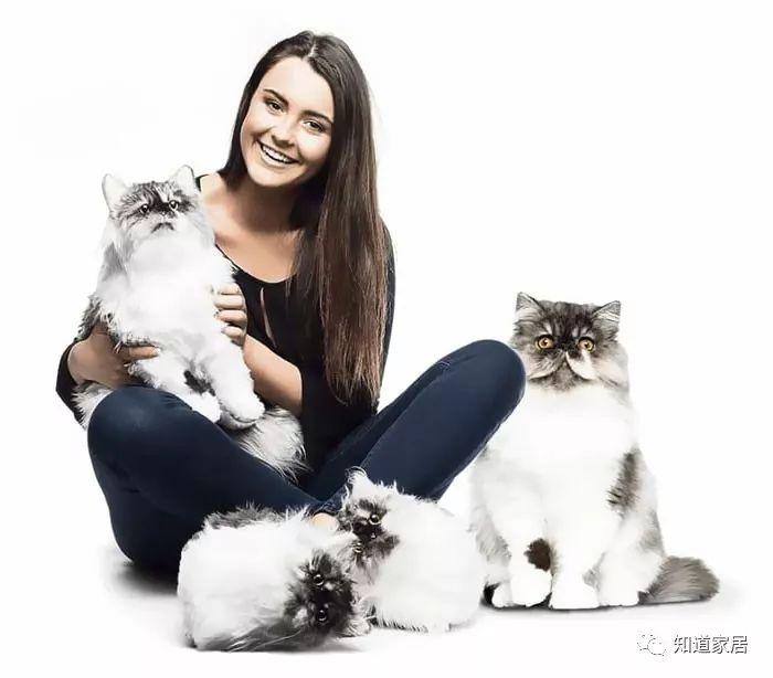 這家毛絨拖鞋跟自家寵物一模一樣，狗真的不會嫉妒嗎？