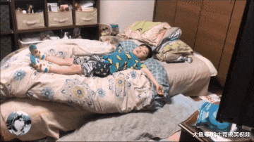 德牧才4岁，却当了小主人3年的“闹钟”，狗：该起床上学了