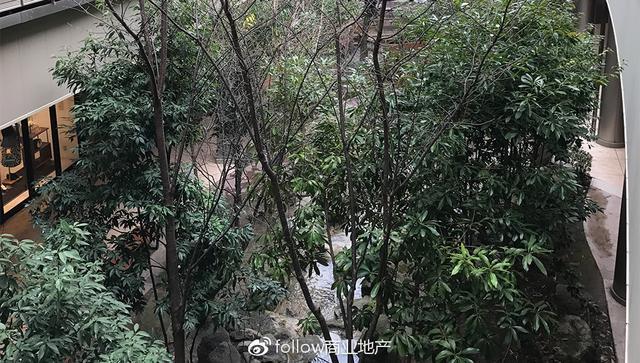 一个购物中心的社区贡献