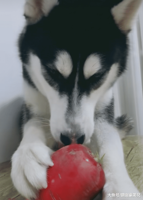 睡觉时听到异样的声音，慢慢走过去想要一查究竟，看清后笑骂