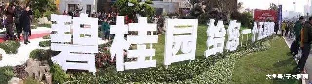 2018年中国TOP10房企销售启示录