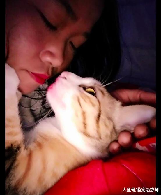 主人忘记擦口红就亲了猫咪, 结果它的嘴巴被印上了红色, 好妖艳呀