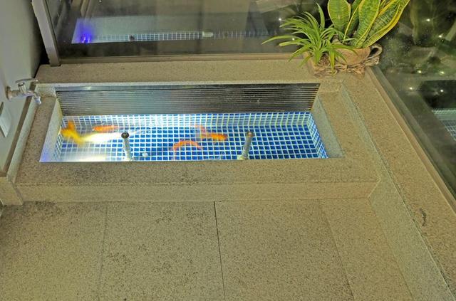 阳台装修空出2平米，设计成阳台鱼池，转运聚财完美炫爆朋友圈