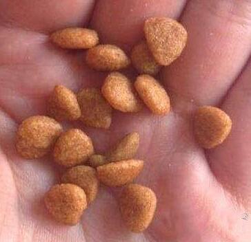 国产狗粮垃圾？月销数万的狗粮一定安全吗？怎么选合适的狗粮？