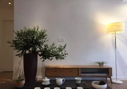 房屋改造，古朴禅意+闽南海岛风组合，打造出海边度假村的感觉！