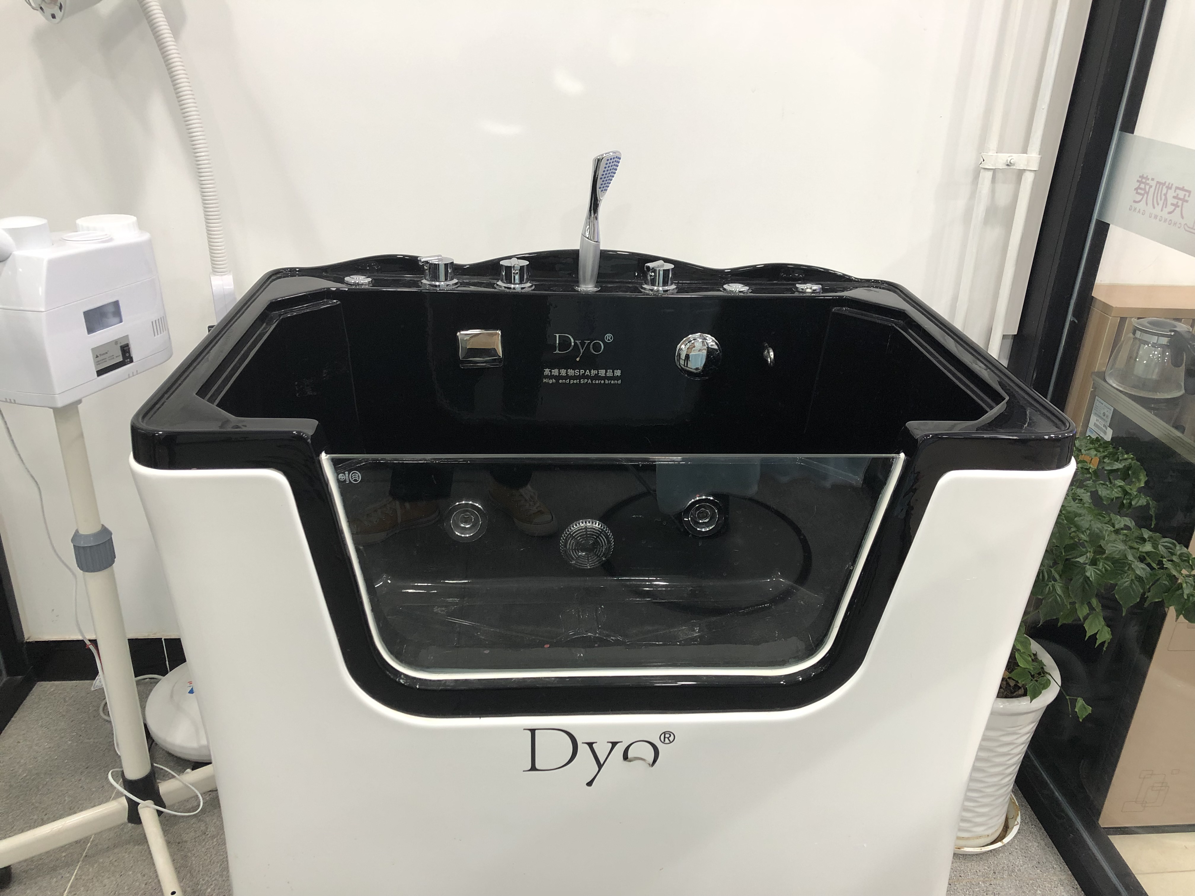 宠物店机遇与挑战