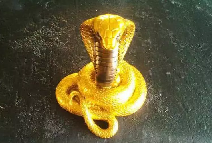 美丽的埃及眼镜蛇，古埃及法老王的权威标志