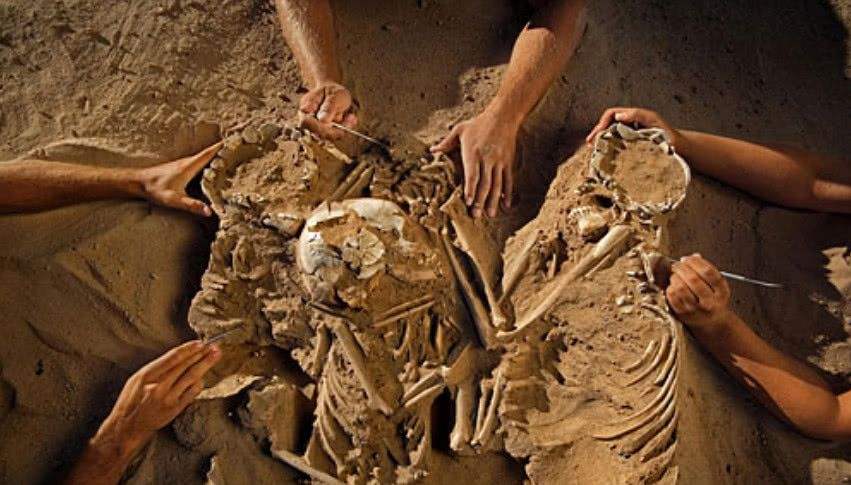 北大最“孤独”的专业，一人一教授，6代独苗单传，你能接受吗？