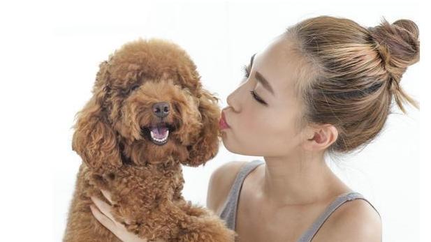 你以为给狗狗吃这几种食物，是为了狗狗好？殊不知危害却很大！