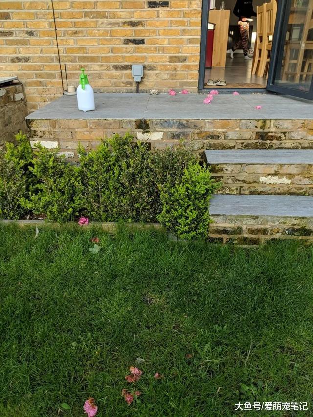 小伙经常投喂附近的流浪猫，猫咪得到关爱后，却给他带来了大惊喜