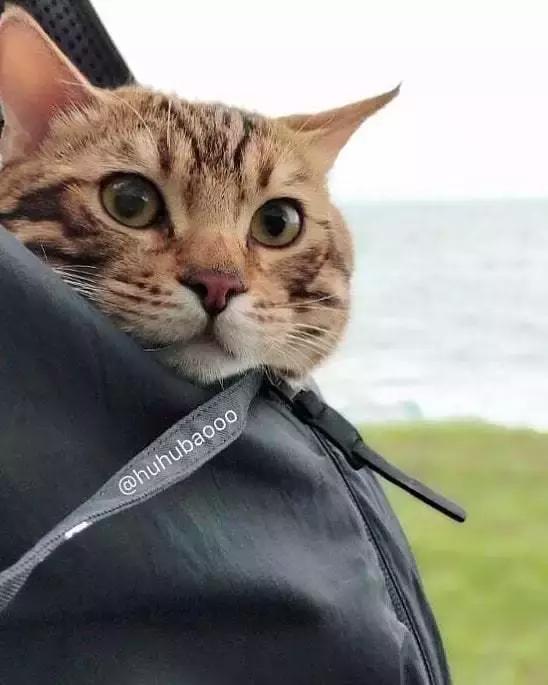 女朋友送了我一双假AJ后，结果没想到精彩的一幕发什了！