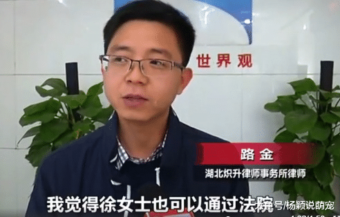 女子误将58万工资汇错人，银行让找警察，警察却不让立案：户主没过错啊