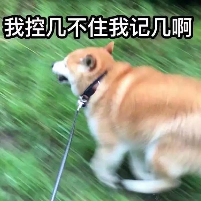 盘点遛狗遇到的6大敌人，熊孩子只能排第二