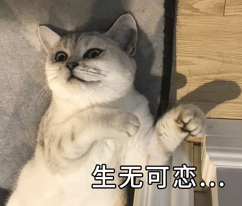 前所未有！刚刚 楼市 巨变！