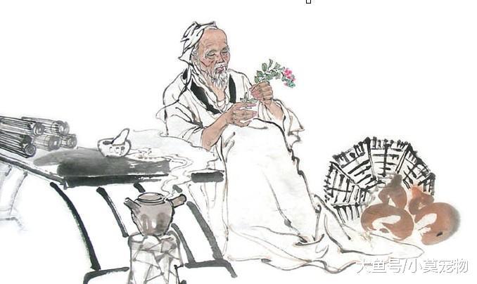 药王孙思邈的最大贡献, 不是行医救人无数, 而是销毁了这个方子