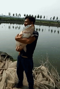 爆笑GIF：兄弟，你走路能不能稳一点，晃得我都看不清手机屏幕了