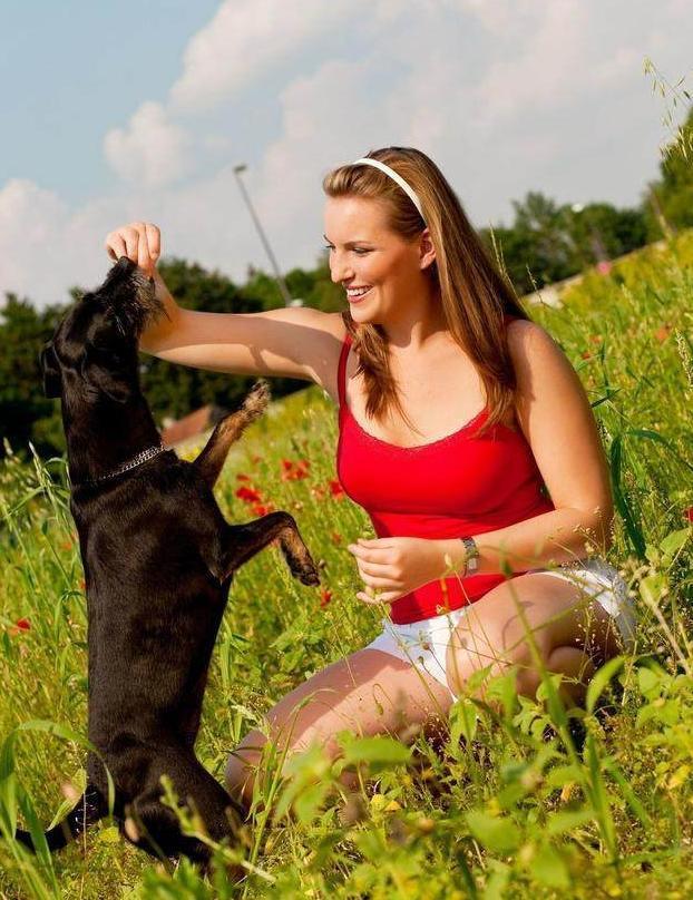 一条狗, 越信任你把你当主人, 越会有这5大表现, 你家狗狗有吗?