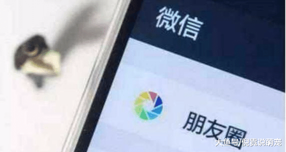 为什么越来越多的人开始关闭朋友圈？说出来你都不一定相信！