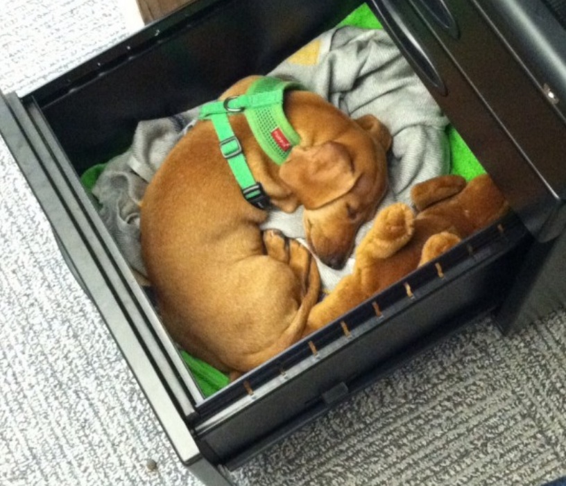 “小主人，祝你平安出生哦！”幸福是什么？平凡的宁静就是幸福