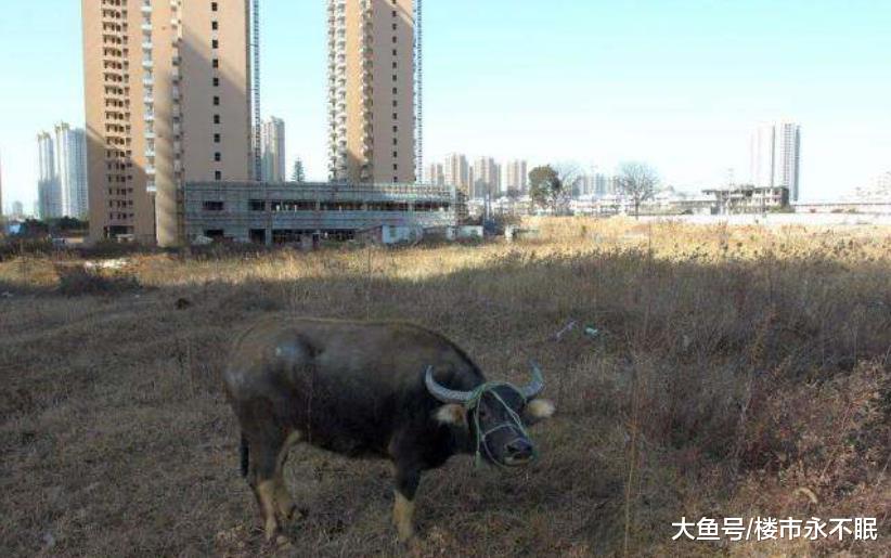 不要乱买房，内行：4种房子刚需请尽量避开，后悔没有早知道