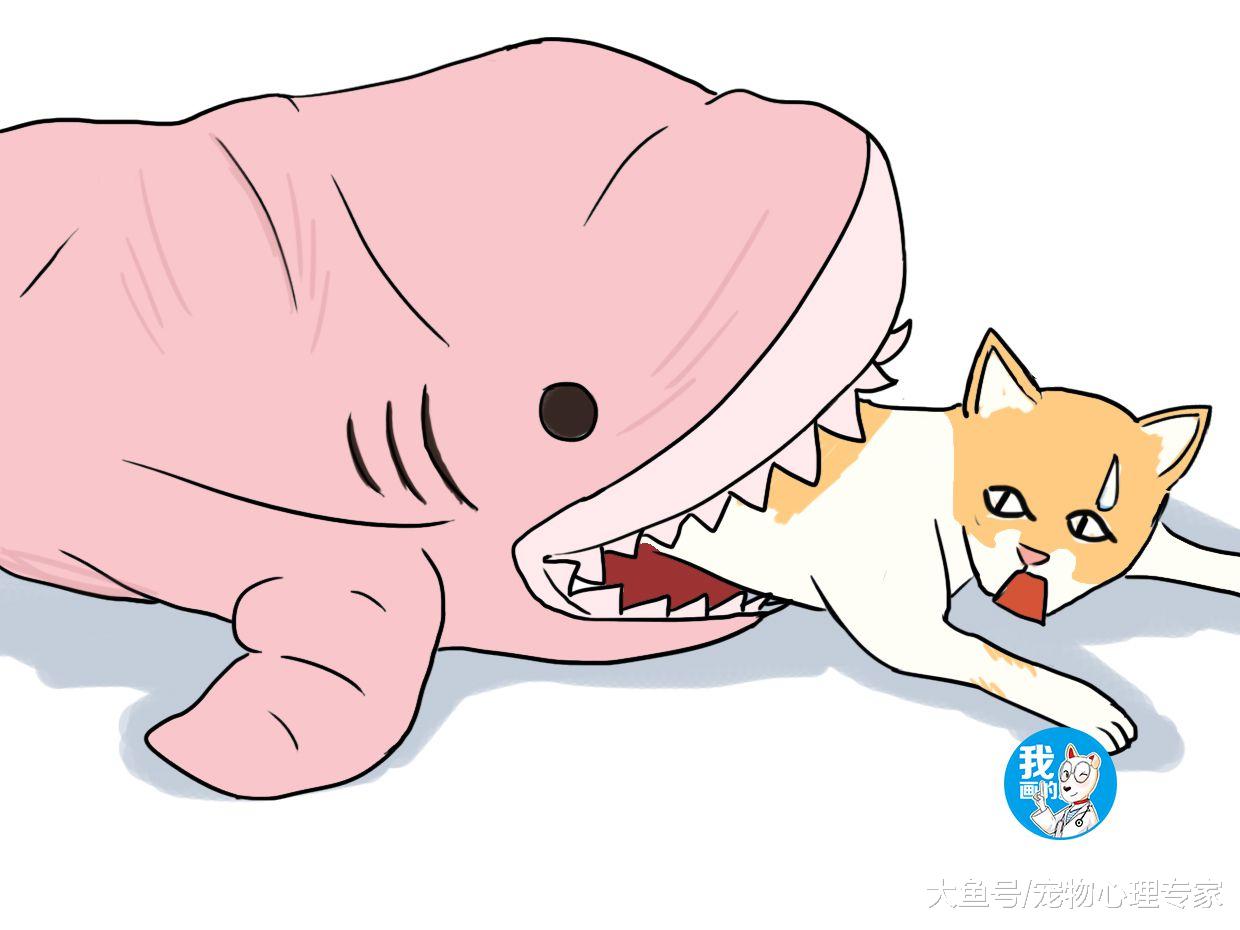 女朋友发来消息，说猫咪被鲨鱼咬了，一看照片：表情相当到位