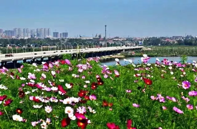 河北省发文！滹沱河沿线大发展！构建路网布局+打造经济带！沿河旁这个教育大盘迎利好！