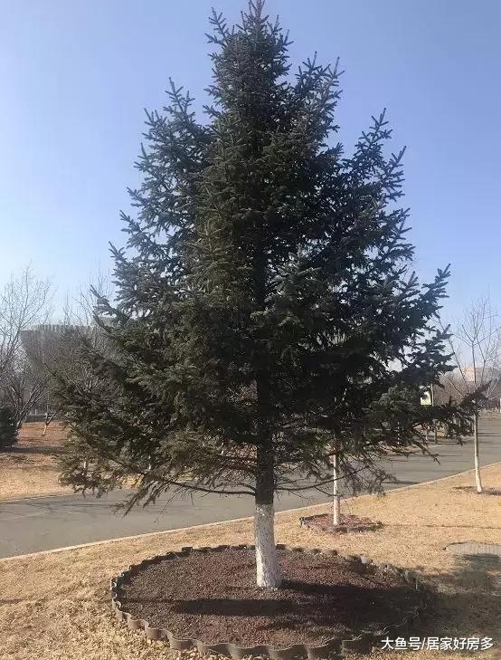 长春＂行政+文化+公园＂配套最集中的区域。