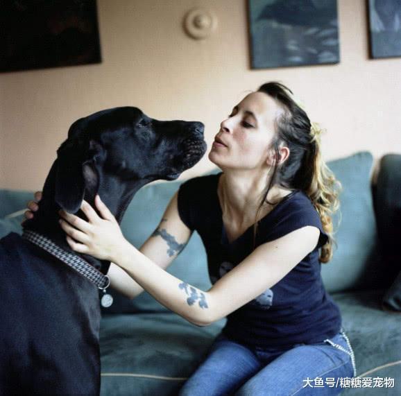 女人养大狗狗, 才会有真正的安全感, 网友: 坐姿也太辣眼睛了吧!