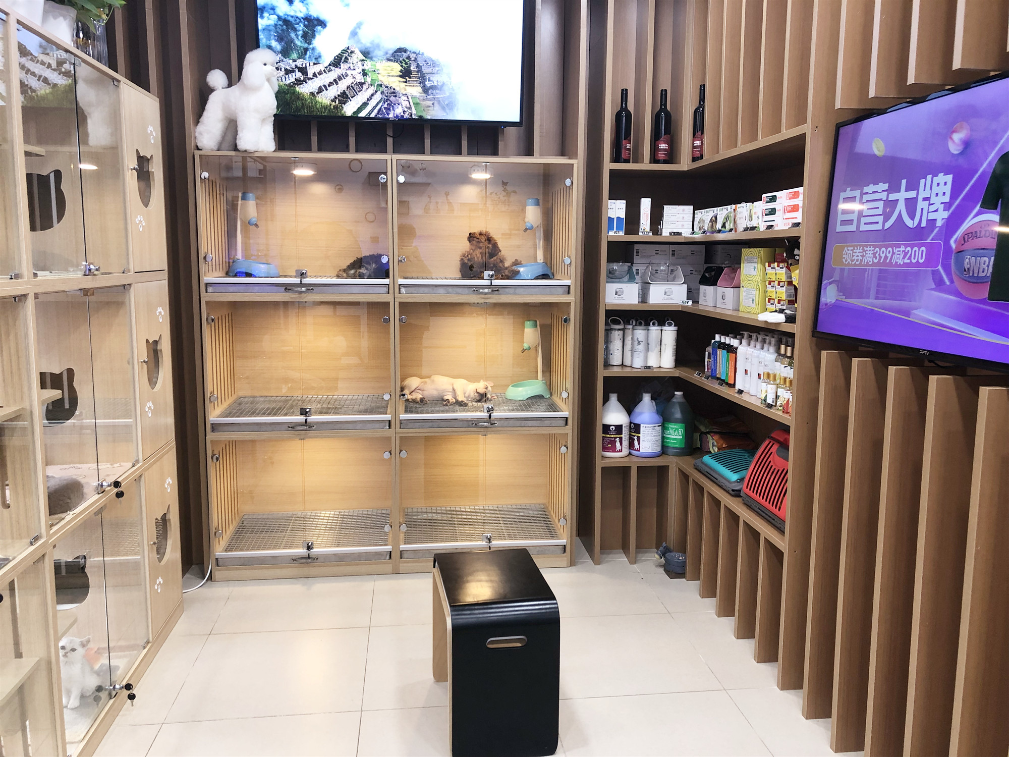 宠物店机遇与挑战