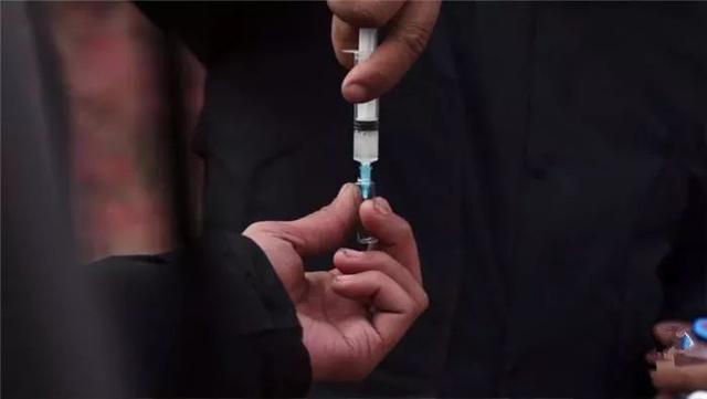 工人十年救下四千多條被棄寵物，為其建造收容所，堅持善良不放棄
