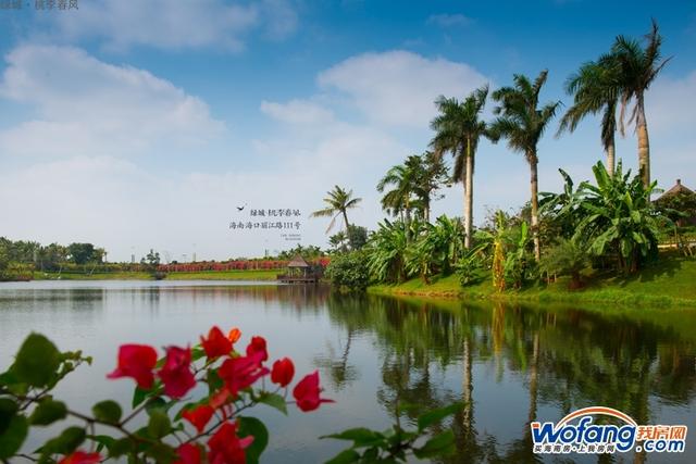 海口2月楼市：新房供应减少，仅3个项目获批，463套房入市