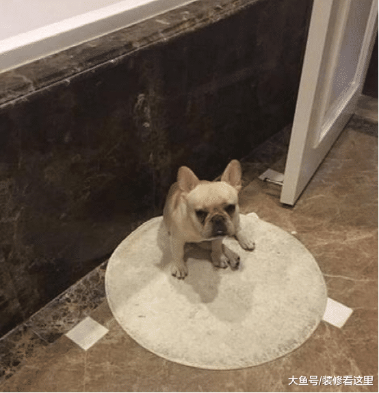 贾玲晒出自己的房子，装修只是简单刷了大白墙，平时喜欢吃小龙虾