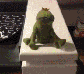 这只蓝猫说，我是整条街（gāi）最惨的崽！