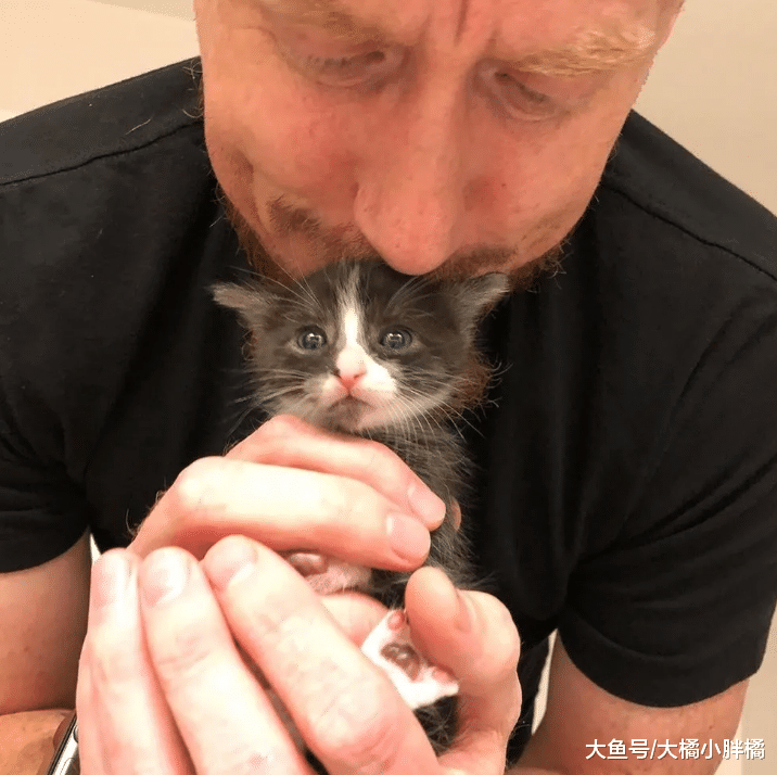小猫被大叔救助，长大后懂得关心他人，天冷时趴在大叔怀里送温暖