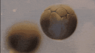 『』一组不可思议的照片，刷新你对世界的认知