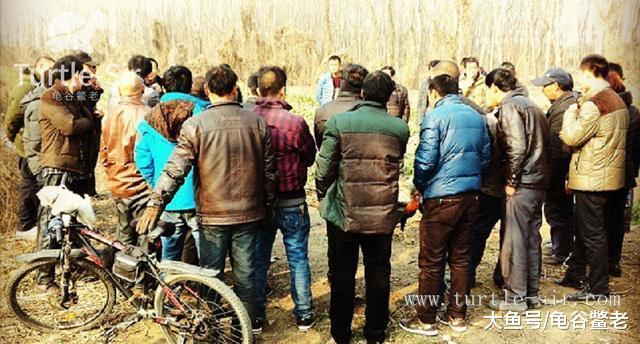 龟苗刚到家，这几点不要去做，否则容易出事「龟谷鳖老」