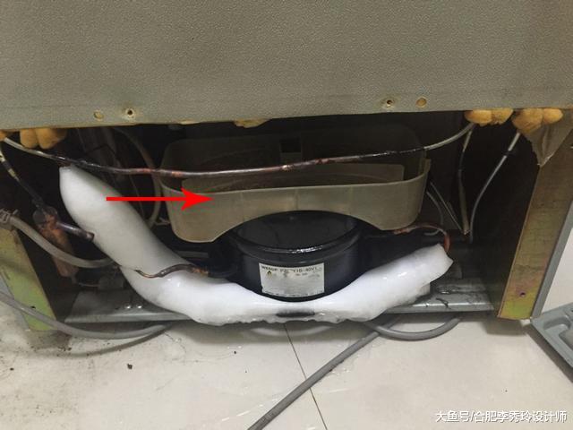 冰箱后面藏个储水盒，我家用了8年没倒过，难怪冰箱里总是有一股臭味