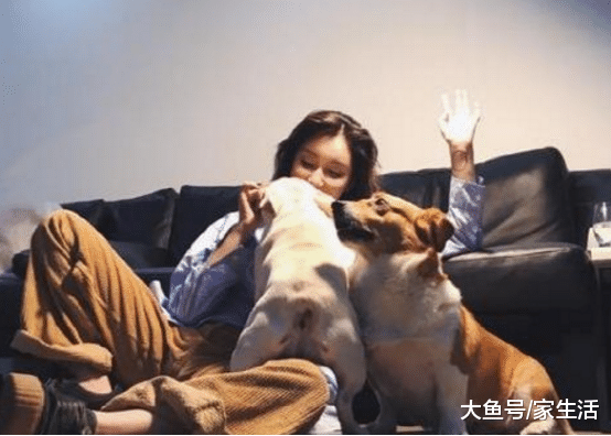 带你看看李雨桐的豪宅，卧室三面墙都装满衣柜，衣服也太多了