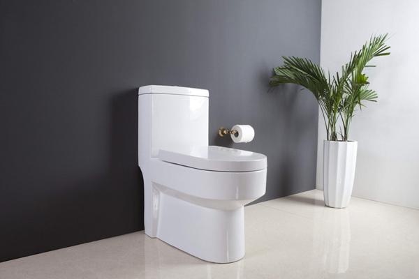 頭次見有錢人在淋浴房裝蹲便器，實用又省空間，后悔現在才知道