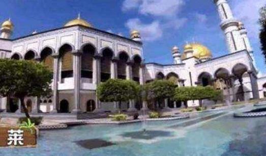 带你看吴尊住的豪宅，装修比皇宫还豪华，不愧是文莱十大富豪之一