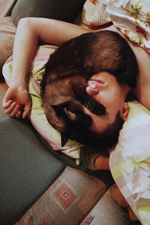 铲屎官：“我终于把猫咪赶下了床，让它有了自己的窝”