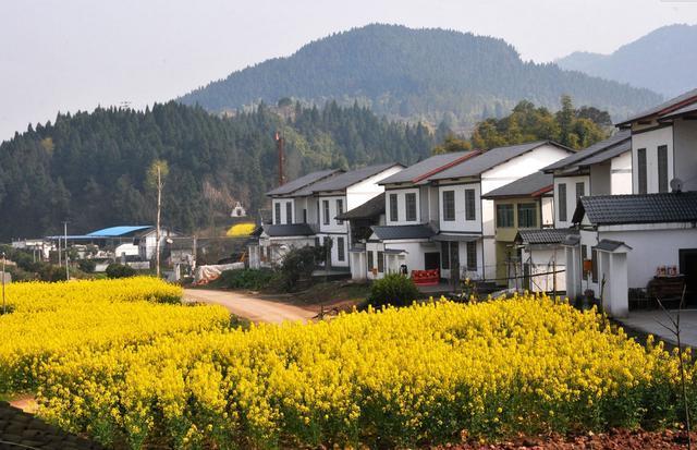 2019年农村征地新变化：终于不再按年产值补钱了！