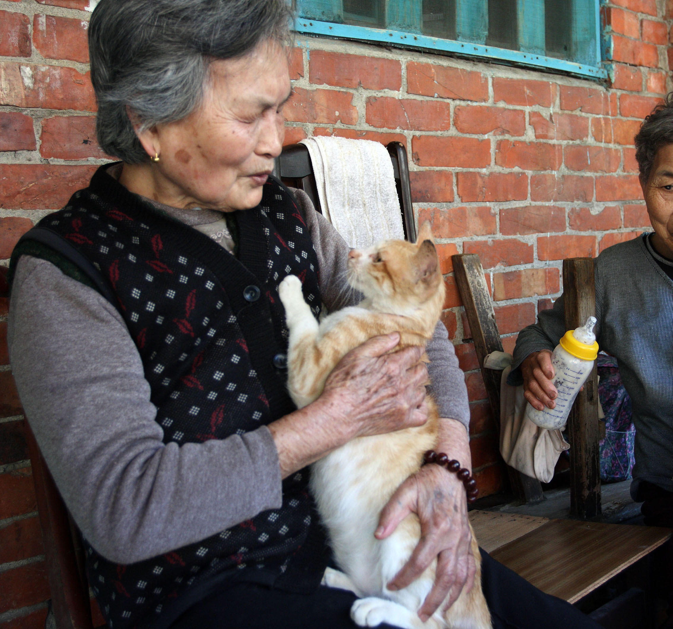 带猫咪看爷爷，不料高冷猫立马卖萌要抱抱，喵：爷爷的肩膀好舒服