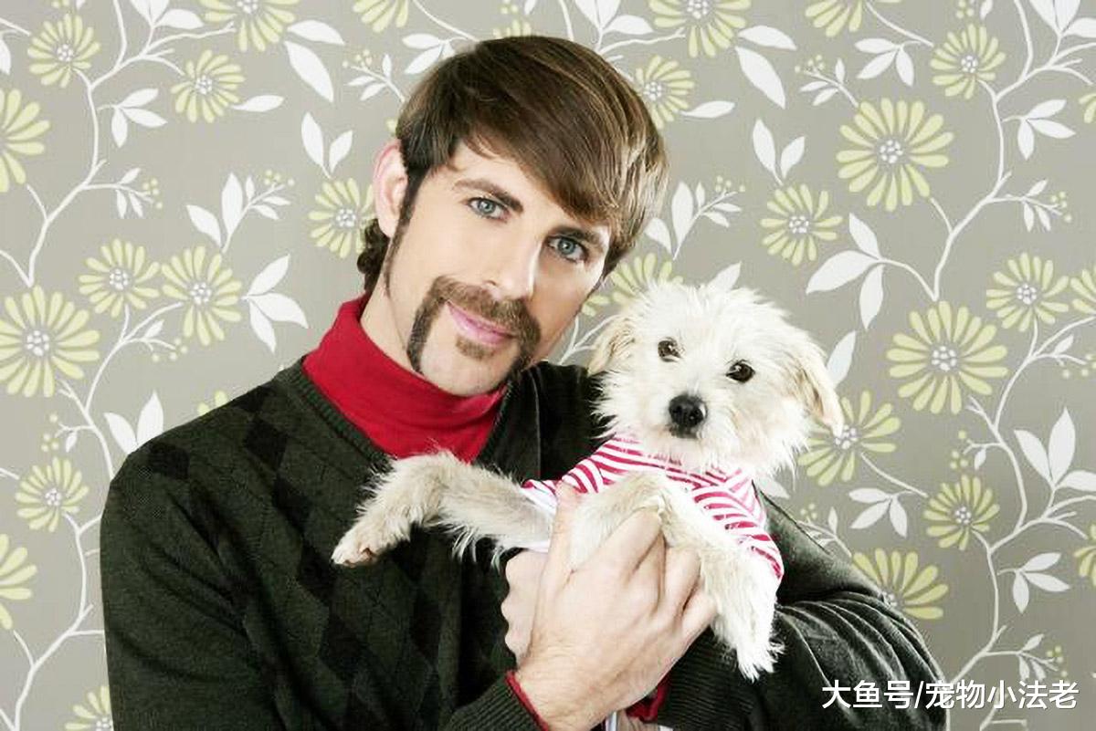 很难知道流浪狗的年龄？只需记住这4种方法，就能快速推断出年龄