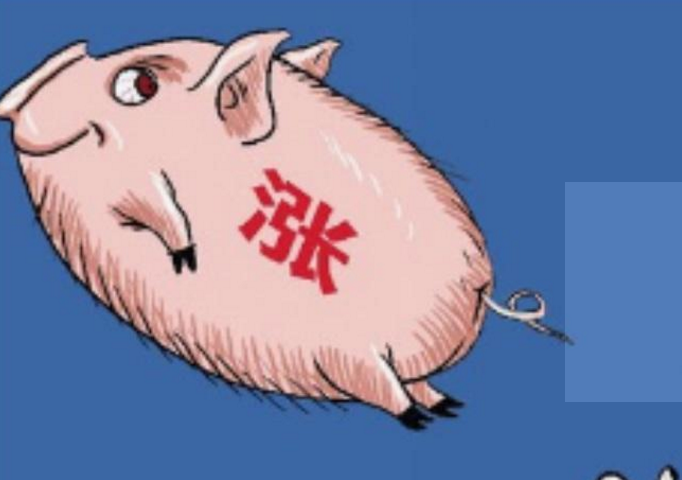 房价变“葱价”？猪肉“热了”，房子卖不动了！这说明了什么？