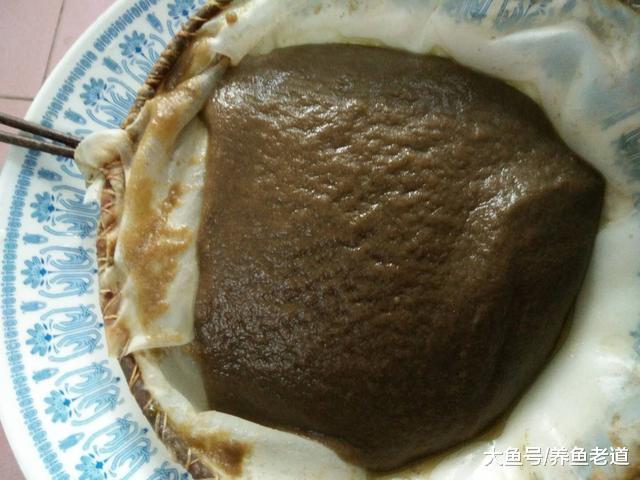 七彩神仙魚漢堡的制作，要靠我們根據魚兒的攝食情況一一去實踐！
