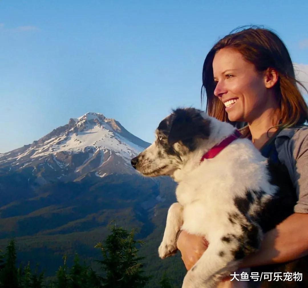 带着狗周游世界，还手工打造了“移动房屋”，这是多少人的梦想？